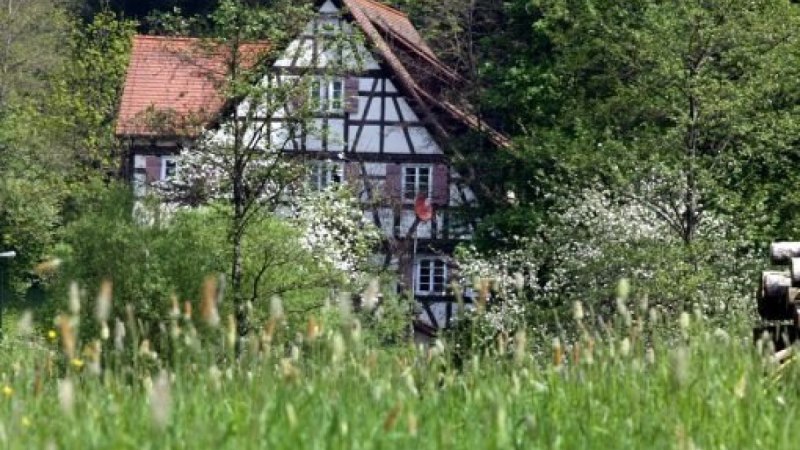 Ein Fachwerkhaus steht hinter bl&uuml;henden B&auml;umen, umgeben von gr&uuml;ner Natur und einer Wiese im Vordergrund., &copy; Natur.Nah. Sch&ouml;nbuch & Heckeng&auml;u