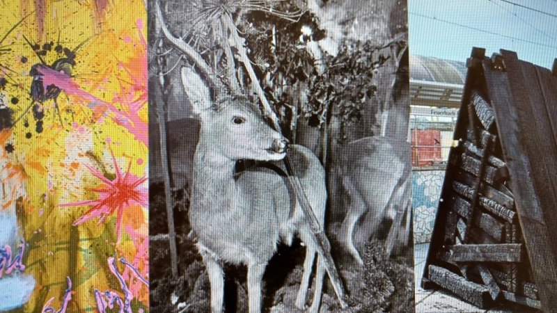 Eine Collage zeigt abstrakte Kunst, ein Schwarz-Wei&szlig;-Foto eines Rehs und eine Holzskulptur vor einem Geb&auml;ude., &copy; Hermann-Haake-Stiftung