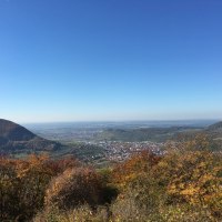 Aussicht vom Buckleter Kapf, © Bad Urach Tourismus