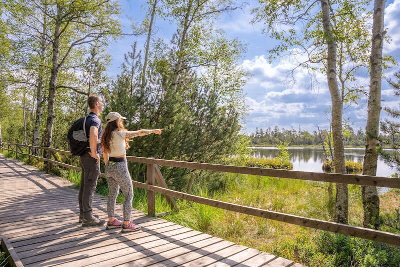 2. Globetrotter Wandertage Schwarzwald: Wanderung "Das Wildseemoor und seine Geheimnisse", © Touristik Bad Wildbad GmbH