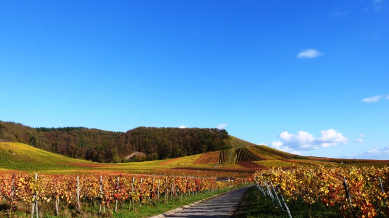 © Land der 1000 Hügel - Kraichgau-Stromberg © Land der 1000 Hügel - Kraichgau-Stromberg