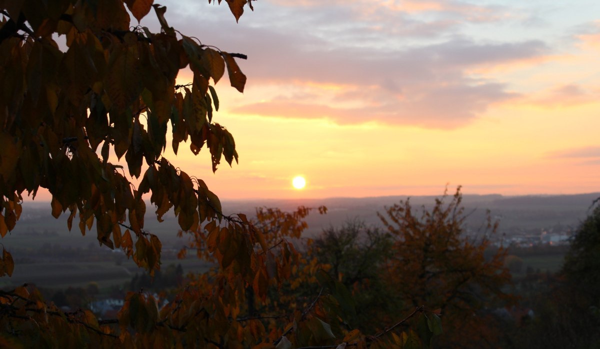 Sonnenuntergang im SchönbuchTrauf mit herbstlichen Bäumen im Vordergrund. Der Himmel ist in warmen Orange- und Gelbtönen gefärbt., © Natur.Nah. Schönbuch & Heckengäu Sonnenuntergang im SchönbuchTrauf mit herbstlichen Bäumen im Vordergrund. Der Himmel ist in warmen Orange- und Gelbtönen gefärbt., © Natur.Nah. Schönbuch & Heckengäu