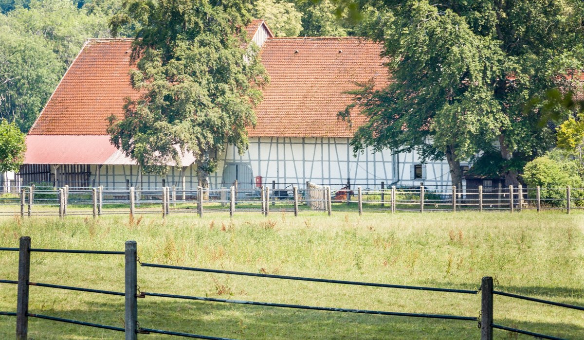 Fohlenhof St. Johann, © hochgehberge