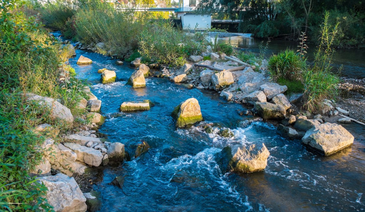 Fluss mit Steinen und Pflanzen, die eine Fischertreppe am Häckerwehr bilden. Im Hintergrund eine Brücke und Bäume., © Remstal Tourismus e.V.
