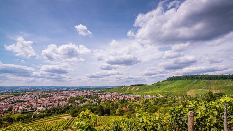Blick auf die Weinberge von Korb, © Remstal Tourismus e.V. Blick auf die Weinberge von Korb, © Remstal Tourismus e.V.