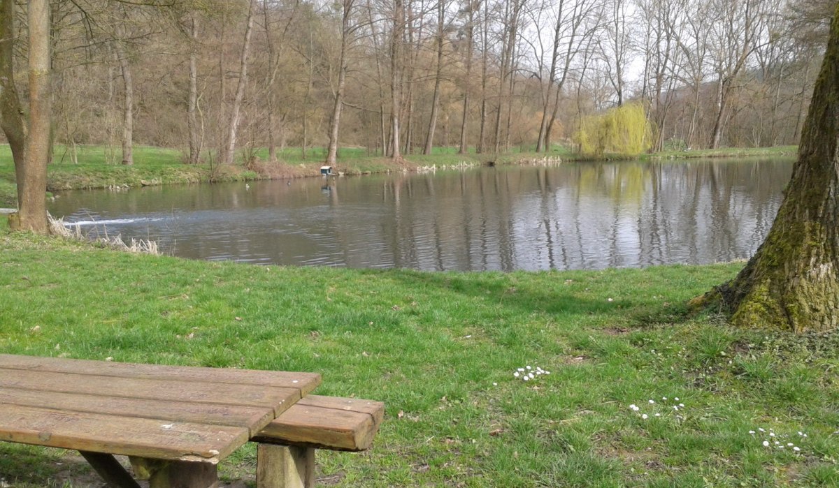 Ein ruhiger Teich in einem Park, umgeben von kahlen Bäumen. Im Vordergrund steht eine Holzbank auf einer grünen Wiese., © Natur.Nah. Schönbuch & Heckengäu Ein ruhiger Teich in einem Park, umgeben von kahlen Bäumen. Im Vordergrund steht eine Holzbank auf einer grünen Wiese., © Natur.Nah. Schönbuch & Heckengäu