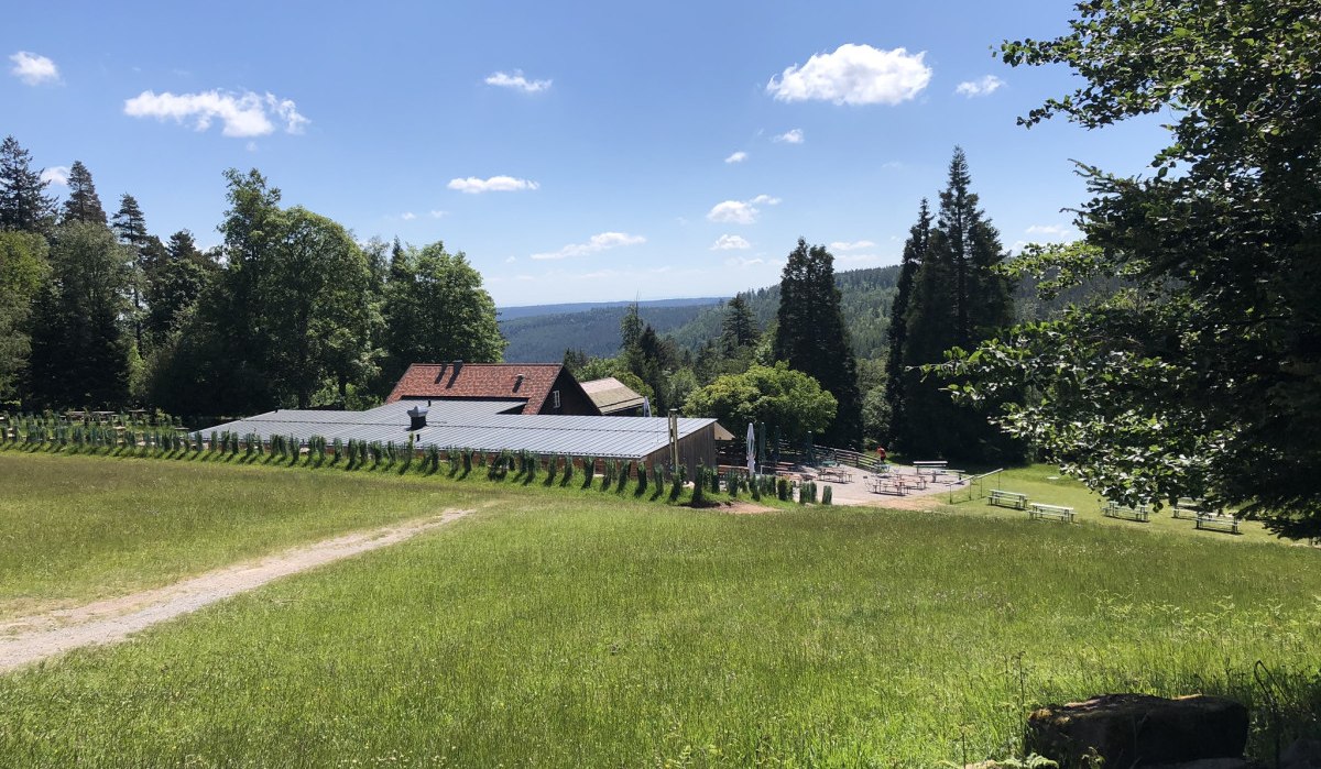 Eine Hütte umgeben von grünen Wiesen und Bäumen unter einem blauen Himmel mit wenigen Wolken., © Nördlicher Schwarzwald Eine Hütte umgeben von grünen Wiesen und Bäumen unter einem blauen Himmel mit wenigen Wolken., © Nördlicher Schwarzwald