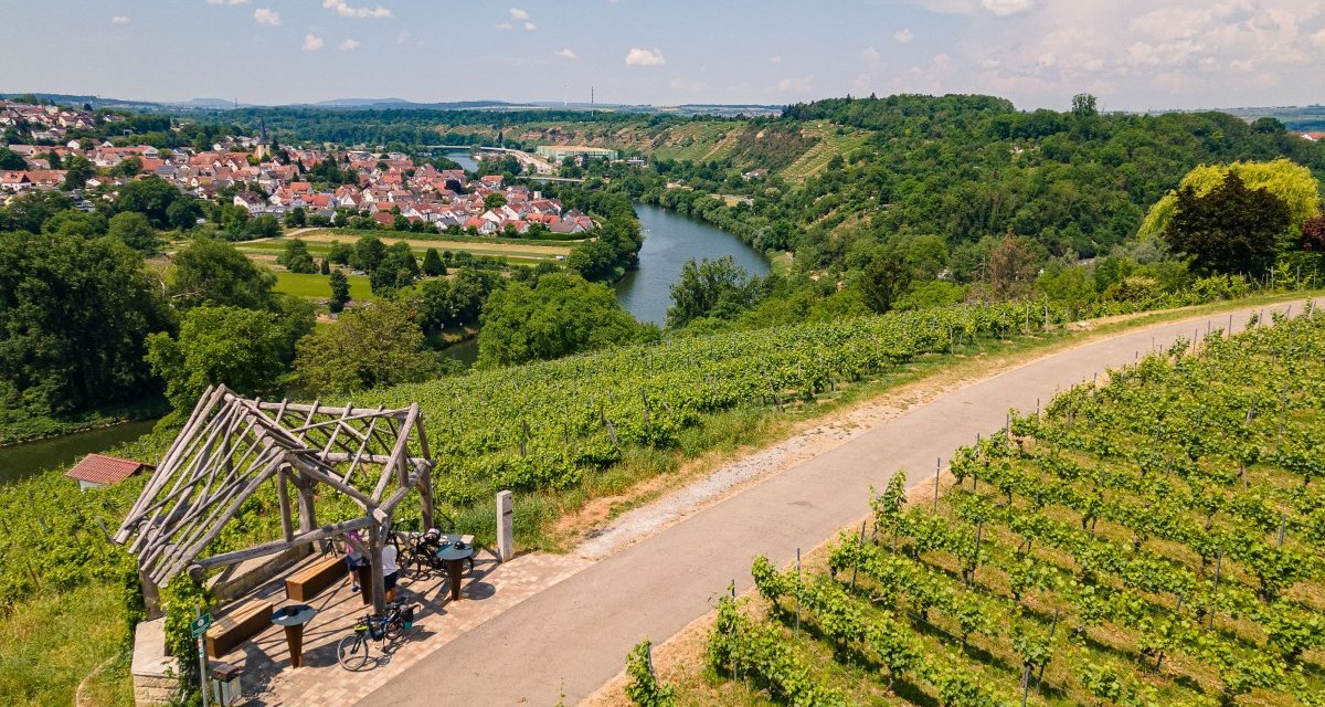 Neckartal-Radweg Marbach Weinberge Panorama Aussicht, &copy; Maximilian Semsch_Gesch&auml;ftsstelle Neckartal-Radweg