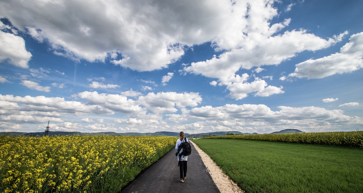 Eine Person wandert auf einem asphaltierten Weg zwischen gelben Blumenfeldern und grünem Gras unter einem blauen Himmel mit weißen Wolken., © Foto: Mario Klaiber Eine Person wandert auf einem asphaltierten Weg zwischen gelben Blumenfeldern und grünem Gras unter einem blauen Himmel mit weißen Wolken., © Foto: Mario Klaiber