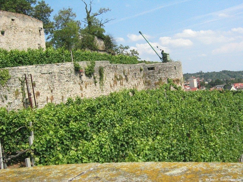 Weingut Nonnenmacher, © Weingut Nonnenmacher Weingut Nonnenmacher, © Weingut Nonnenmacher