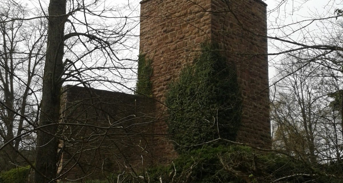Ein alter Steinturm, teilweise mit Efeu bewachsen, steht in einem bewaldeten Gebiet. Karge B&auml;ume umgeben den Turm., &copy; Natur.Nah. Sch&ouml;nbuch & Heckeng&auml;u
