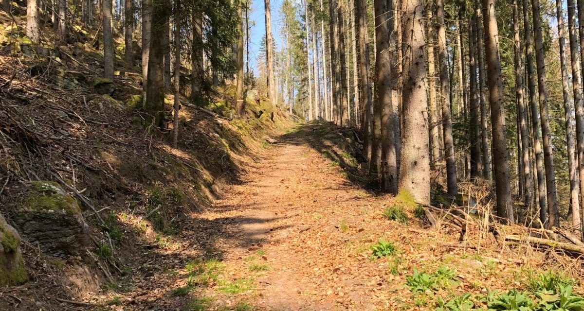 © Nördlicher Schwarzwald © Nördlicher Schwarzwald