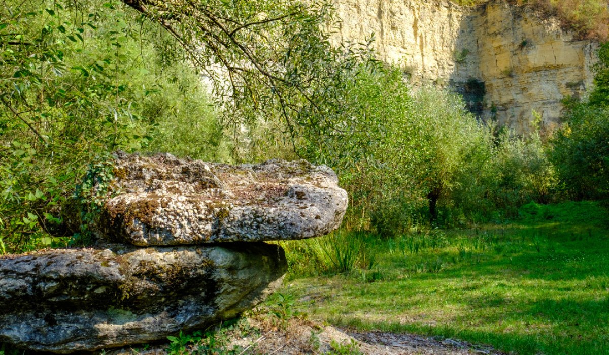 Ein grüner Steinbruch mit üppiger Vegetation und großen Felsen im Vordergrund unter blauem Himmel.