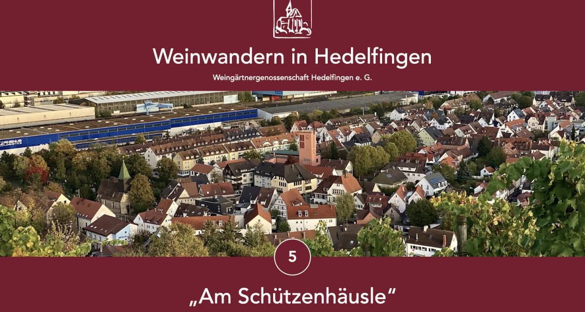 Panoramablick auf Hedelfingen mit Weinbergen im Vordergrund. Der Titel "Weinwandern in Hedelfingen" und "Am Schützenhäusle" sind eingeblendet., © Lukas Alperowitz Panoramablick auf Hedelfingen mit Weinbergen im Vordergrund. Der Titel "Weinwandern in Hedelfingen" und "Am Schützenhäusle" sind eingeblendet., © Lukas Alperowitz