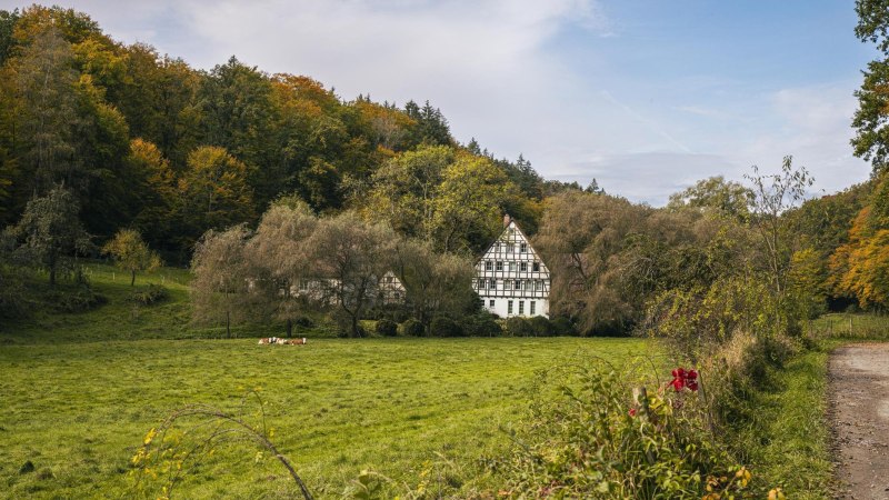 Fachwerkhaus im Siebenmühlental, umgeben von herbstlichen Bäumen und grünen Wiesen. Ein Weg führt am Bildrand entlang., © SMG, Sarah Schmid Fachwerkhaus im Siebenmühlental, umgeben von herbstlichen Bäumen und grünen Wiesen. Ein Weg führt am Bildrand entlang., © SMG, Sarah Schmid