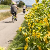 1V2A9708_Radfahrer 1V2A9708_Radfahrer