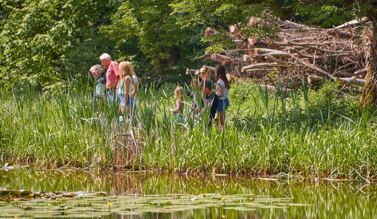 Steigweiher im Schaichtal, © Natur.Nah. Schönbuch & Heckengäu