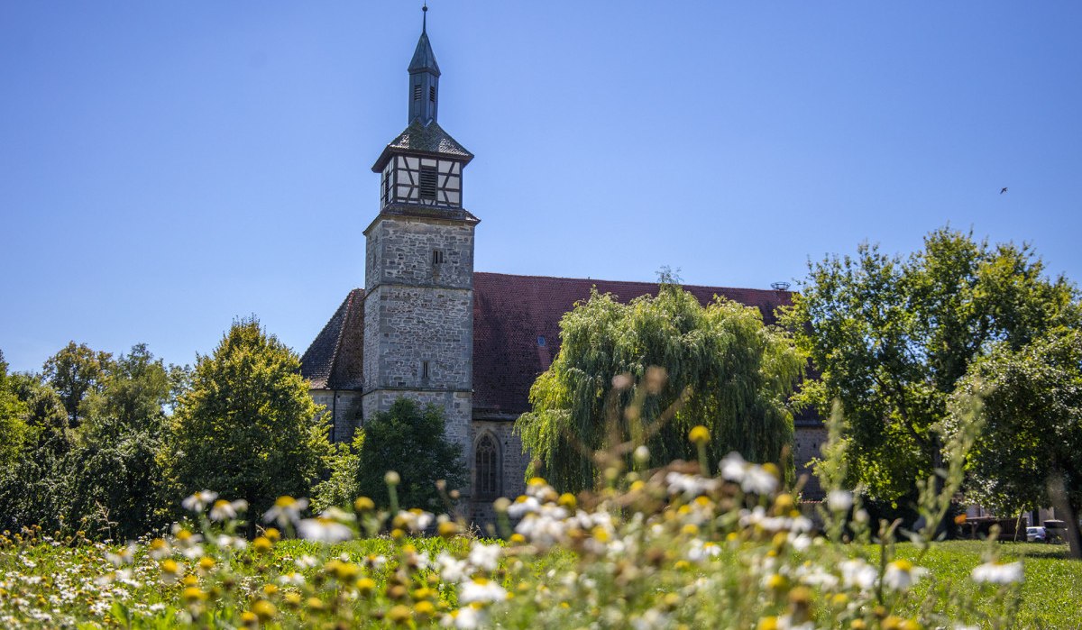 Kirchturm des Hofgut Mauren, umgeben von grünen Bäumen und einer blühenden Wiese unter klarem, blauem Himmel., © Region Stuttgart