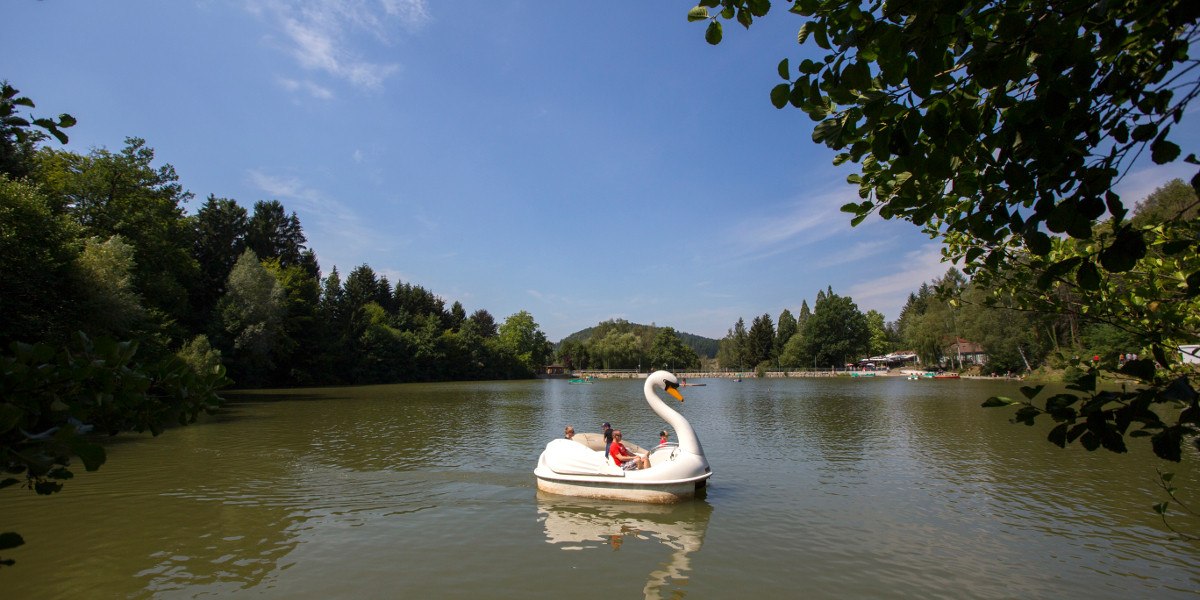 Ein Schwanen-Tretboot mit zwei Personen auf einem ruhigen See, umgeben von grünen Bäumen und blauem Himmel., © Stuttgart-Marketing GmbH