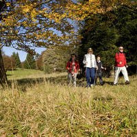 Vier Personen wandern im Herbst durch eine Wiese. Die Bäume im Hintergrund haben gelbes Laub., © Schwarzwald Tourismus GmbH Vier Personen wandern im Herbst durch eine Wiese. Die Bäume im Hintergrund haben gelbes Laub., © Schwarzwald Tourismus GmbH
