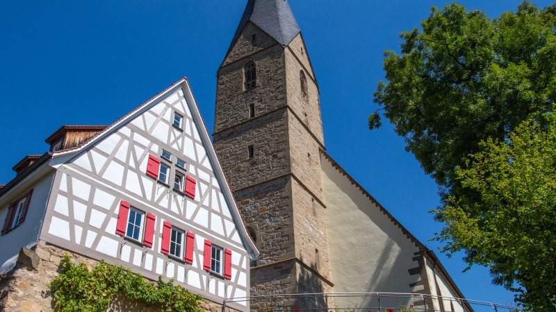Fachwerkhaus mit roten Fensterläden neben der Alexanderkirche in Marbach am Neckar, umgeben von Bäumen und blauem Himmel., © SMG Achim Mende