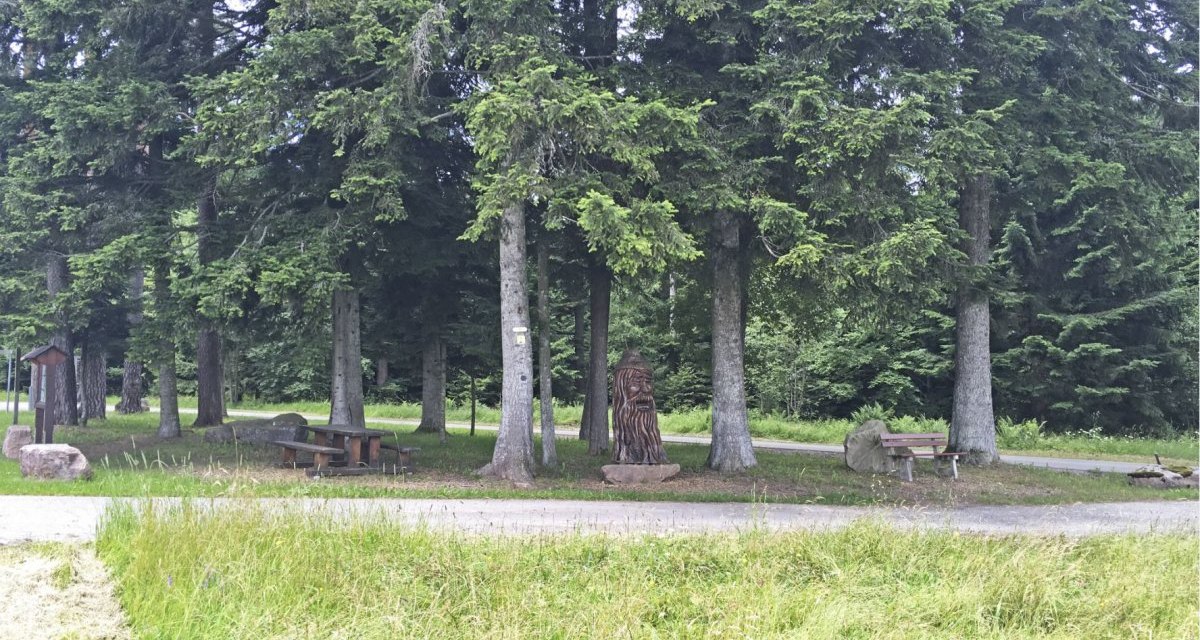 Ein Wald mit hohen Bäumen, einem Picknickplatz mit Holztisch und Bänken sowie einer Holzskulptur. Ein Weg führt durch die Szene., © www.pro-cycl.de Ein Wald mit hohen Bäumen, einem Picknickplatz mit Holztisch und Bänken sowie einer Holzskulptur. Ein Weg führt durch die Szene., © www.pro-cycl.de