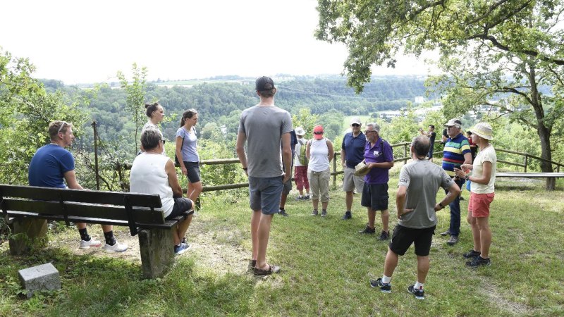 Kleine Weinbergtour: Spazieren, steil blicken und genießen, © Tourist Information Ludwigsburg Kleine Weinbergtour: Spazieren, steil blicken und genießen, © Tourist Information Ludwigsburg