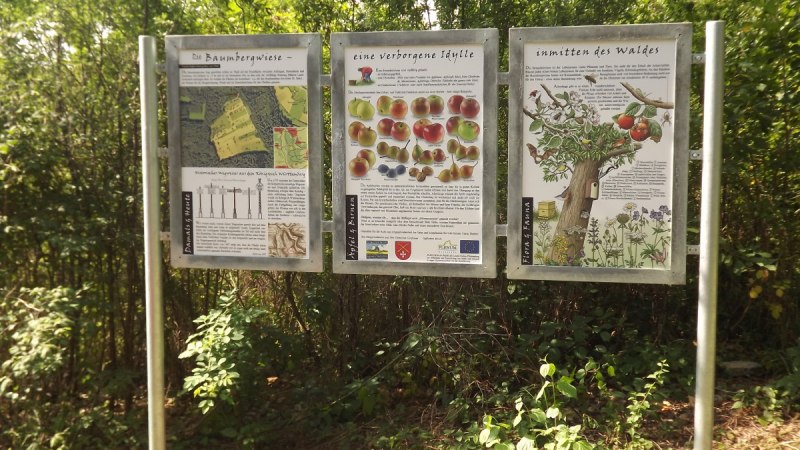 Drei Informationstafeln im Freien, die über die Baumbergwiese, eine verborgene Idylle und die Natur im Wald informieren. Umgeben von Bäumen und Sträuchern., © Natur.Nah. Schönbuch & Heckengäu Drei Informationstafeln im Freien, die über die Baumbergwiese, eine verborgene Idylle und die Natur im Wald informieren. Umgeben von Bäumen und Sträuchern., © Natur.Nah. Schönbuch & Heckengäu