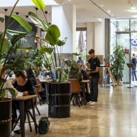 Modernes Café mit großen Pflanzen, Tischen und einem Bediener. Menschen sitzen und genießen ihre Zeit. Helle, einladende Atmosphäre., © SMG, Sarah Schmid