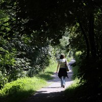Eine Person spaziert auf einem schattigen Waldweg, umgeben von dichtem Laub und Sonnenlicht, das durch die B&auml;ume f&auml;llt., &copy; Remstal Tourismus e.V.