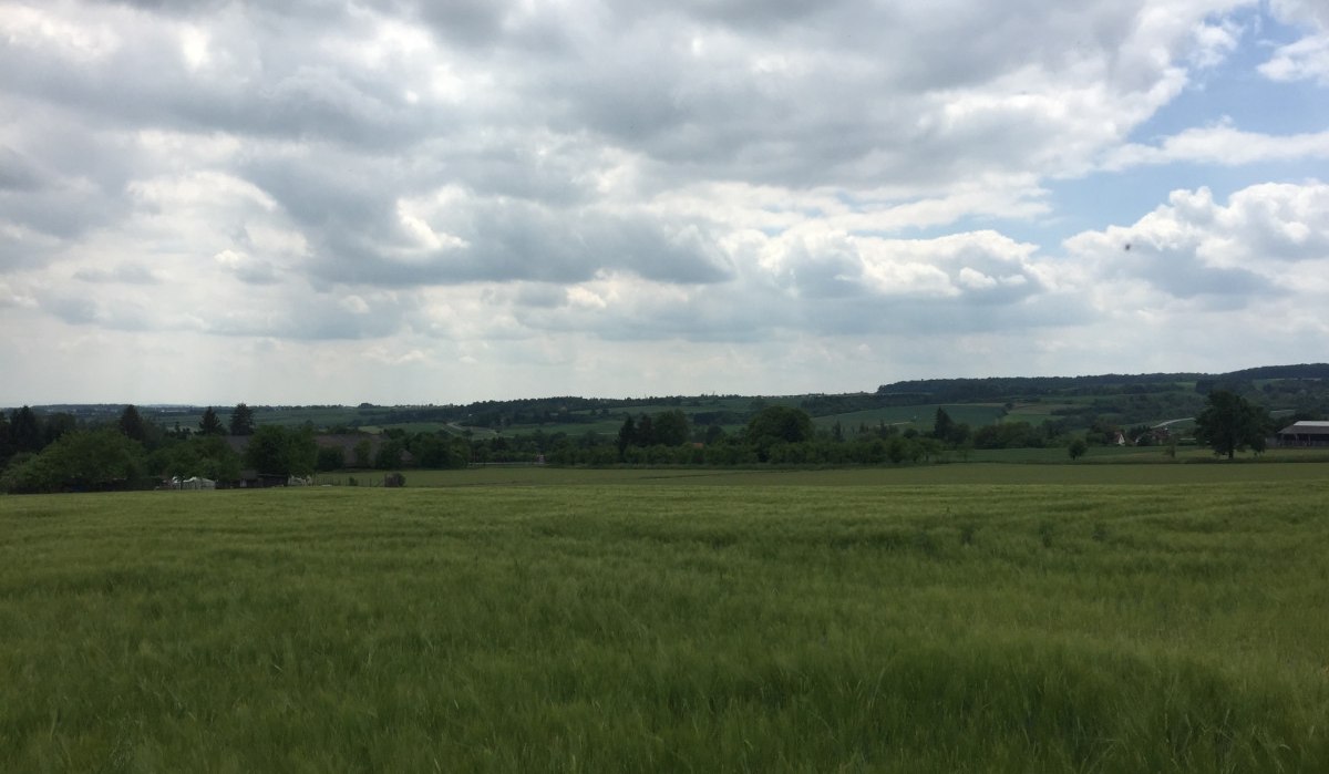 Weites Getreidefeld unter bewölktem Himmel, im Hintergrund sanfte Hügel und Bäume., © Natur.Nah. Schönbuch & Heckengäu Weites Getreidefeld unter bewölktem Himmel, im Hintergrund sanfte Hügel und Bäume., © Natur.Nah. Schönbuch & Heckengäu