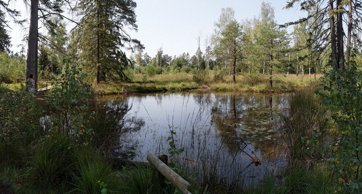 Ein kleiner, ruhiger See inmitten eines Waldes, umgeben von Bäumen und dichter Vegetation. Die Wasseroberfläche spiegelt die Umgebung wider., © Günther Kleis Ein kleiner, ruhiger See inmitten eines Waldes, umgeben von Bäumen und dichter Vegetation. Die Wasseroberfläche spiegelt die Umgebung wider., © Günther Kleis