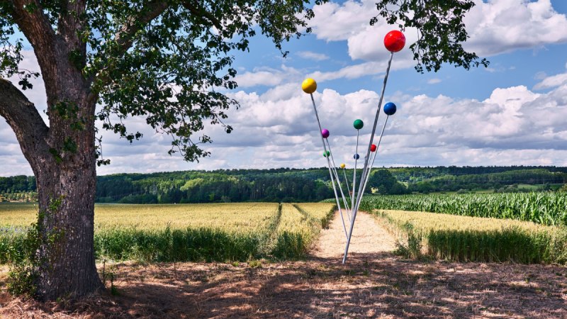 Bunte Kugeln auf langen Stangen ragen in einem Feld in die Höhe, daneben ein großer Baum. Der Himmel ist bewölkt., © Natur.Nah. Schönbuch & Heckengäu Bunte Kugeln auf langen Stangen ragen in einem Feld in die Höhe, daneben ein großer Baum. Der Himmel ist bewölkt., © Natur.Nah. Schönbuch & Heckengäu