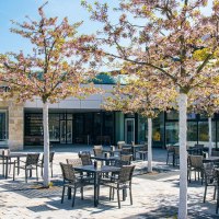 Eingangsbereich der Panorama Therme Beuren mit blühenden Bäumen und leeren Sitzplätzen im Freien. Die Sonne scheint an einem klaren Tag., © Stuttgart-Marketing GmbH, Sarah Schmid Eingangsbereich der Panorama Therme Beuren mit blühenden Bäumen und leeren Sitzplätzen im Freien. Die Sonne scheint an einem klaren Tag., © Stuttgart-Marketing GmbH, Sarah Schmid