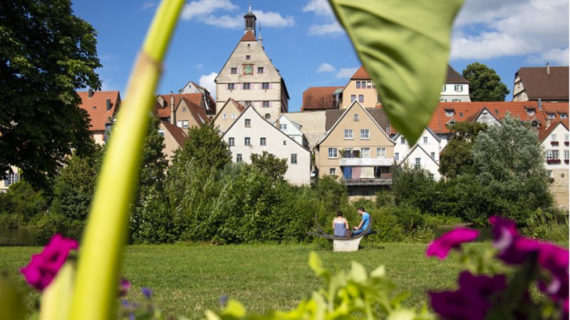Historische Altstadt von Besigheim mit Fachwerkh&auml;usern, umgeben von gr&uuml;ner Natur und bunten Blumen im Vordergrund., &copy; Stadt Besigheim