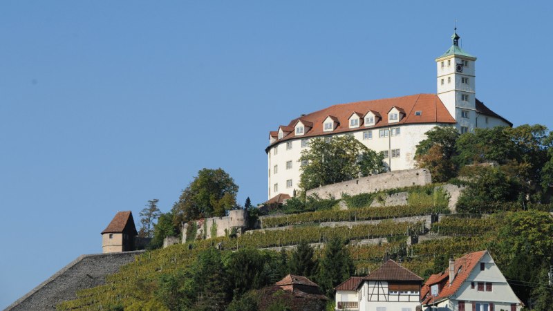Schloss Kalteneck thront auf einem Hügel mit Weinbergen, umgeben von Bäumen und einem klaren blauen Himmel. Im Vordergrund sind Häuser zu sehen., © Stuttgart-Marketing GmbH Schloss Kalteneck thront auf einem Hügel mit Weinbergen, umgeben von Bäumen und einem klaren blauen Himmel. Im Vordergrund sind Häuser zu sehen., © Stuttgart-Marketing GmbH
