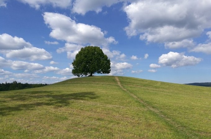 Wanderung mit der Natur- und Landschaftsf&uuml;hrerin Kathrin Steinhart, &copy; Kurverwaltung Bad Urach