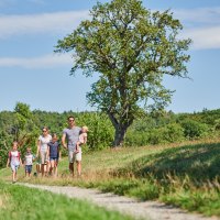 Eine Familie spaziert auf einem Feldweg durch eine gr&uuml;ne Landschaft. Ein gro&szlig;er Baum steht im Hintergrund, der Himmel ist blau mit wenigen Wolken., &copy; Natur.Nah. Sch&ouml;nbuch & Heckeng&auml;u