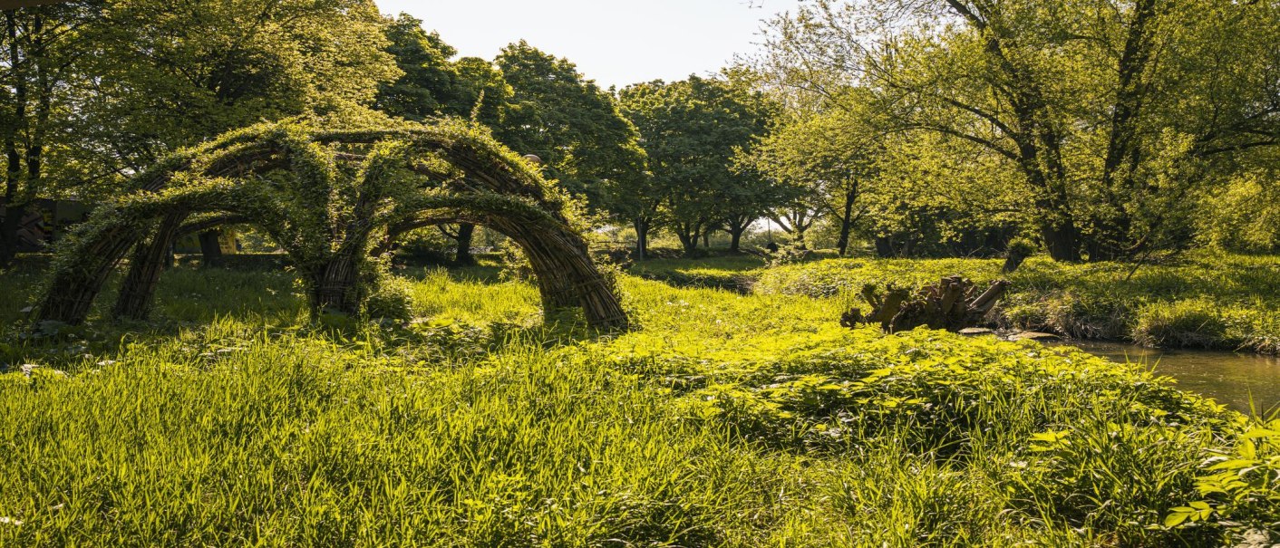 Grüne Landschaft in der Waiblinger Talaue mit einer Weidenkonstruktion und Bäumen im Hintergrund. Sonnenlicht fällt auf das Gras., © SMG, Sarah Schmid Grüne Landschaft in der Waiblinger Talaue mit einer Weidenkonstruktion und Bäumen im Hintergrund. Sonnenlicht fällt auf das Gras., © SMG, Sarah Schmid
