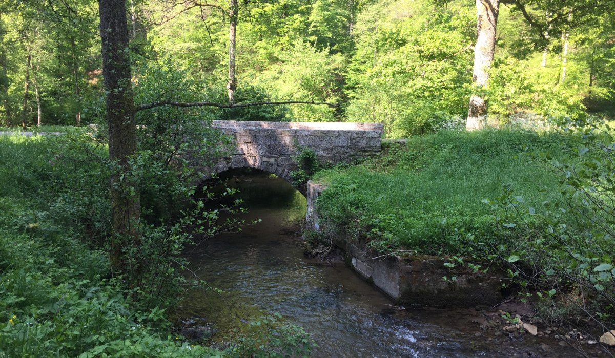 Eine kleine Steinbrücke überspannt einen Bach in einem grünen, bewaldeten Gebiet. Die Umgebung ist dicht bewachsen und sonnig., © www.pro-cycl.de Eine kleine Steinbrücke überspannt einen Bach in einem grünen, bewaldeten Gebiet. Die Umgebung ist dicht bewachsen und sonnig., © www.pro-cycl.de