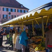 Menschen kaufen auf einem Markt in Murrhardt ein. Gelbe Marktstände bieten Obst und Gemüse an. Ein großes, rosa Gebäude im Hintergrund., © Stuttgart-Marketing GmbH Menschen kaufen auf einem Markt in Murrhardt ein. Gelbe Marktstände bieten Obst und Gemüse an. Ein großes, rosa Gebäude im Hintergrund., © Stuttgart-Marketing GmbH