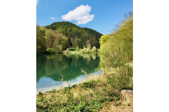 Kr&auml;uterwanderung mit Wildpflanzenp&auml;dagogin Gaby Schmid, &copy; Kurverwaltung Bad Urach