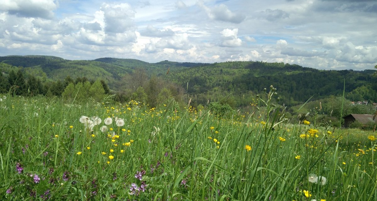 Aussichten in den Löwensteiner Bergen, © Touristikgemeinschaft HeilbronnerLand e.V. Aussichten in den Löwensteiner Bergen, © Touristikgemeinschaft HeilbronnerLand e.V.