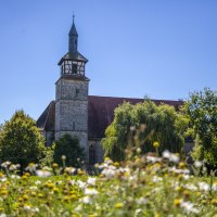 Kirchturm des Hofgut Mauren, umgeben von grünen Bäumen und einer blühenden Wiese unter klarem, blauem Himmel., © Region Stuttgart Kirchturm des Hofgut Mauren, umgeben von grünen Bäumen und einer blühenden Wiese unter klarem, blauem Himmel., © Region Stuttgart