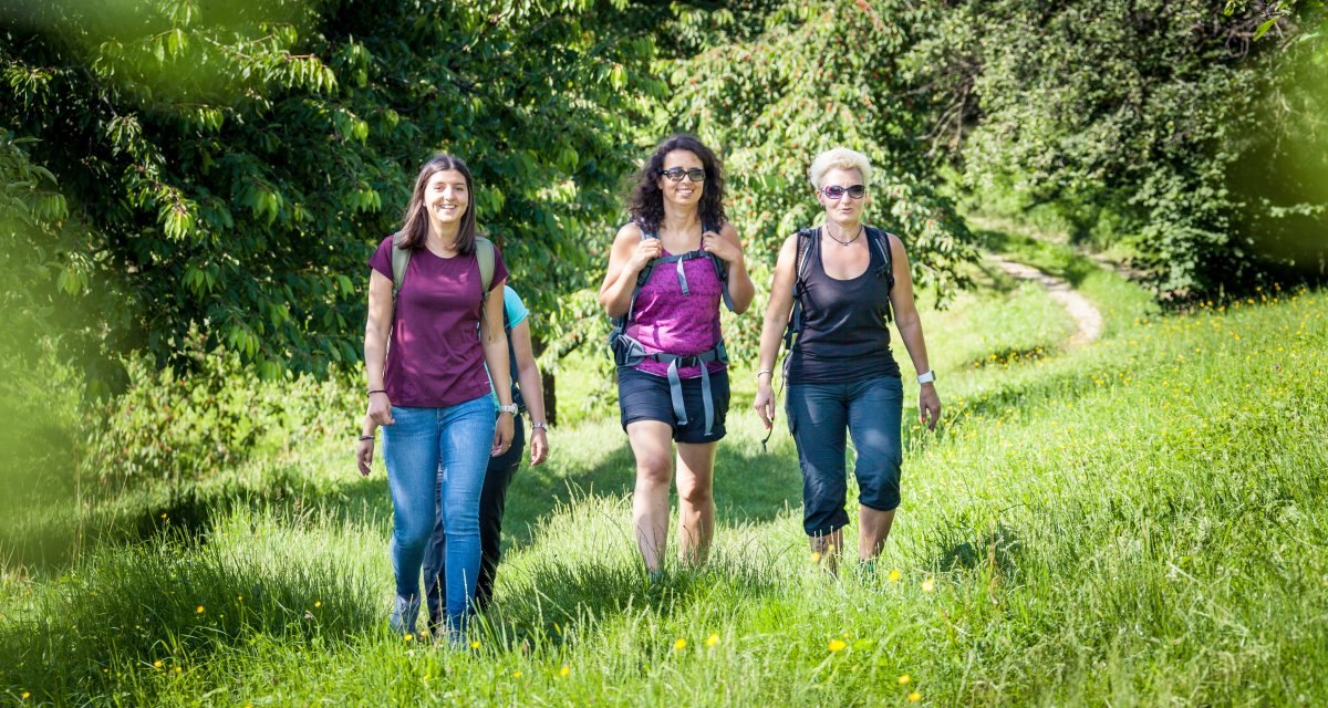 Vier Frauen wandern auf einem grünen Wiesenpfad, umgeben von Bäumen und Blumen, bei sonnigem Wetter., © Kurverwaltung Beuren Vier Frauen wandern auf einem grünen Wiesenpfad, umgeben von Bäumen und Blumen, bei sonnigem Wetter., © Kurverwaltung Beuren