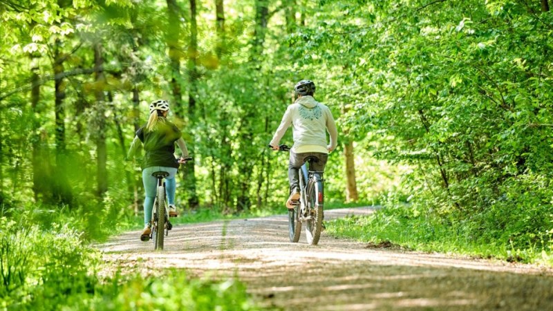 Radweg, Ebnisee, © SWT Radweg, Ebnisee, © SWT