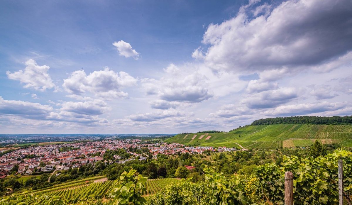 Blick auf die Weinberge von Korb, &copy; Remstal Tourismus e.V.