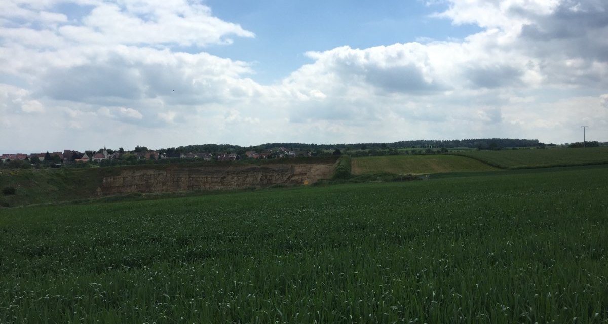 Ein weites grünes Feld mit einem Steinbruch im Hintergrund. Der Himmel ist teils bewölkt, und am Horizont sind Häuser zu sehen., © Natur.Nah. Schönbuch & Heckengäu Ein weites grünes Feld mit einem Steinbruch im Hintergrund. Der Himmel ist teils bewölkt, und am Horizont sind Häuser zu sehen., © Natur.Nah. Schönbuch & Heckengäu