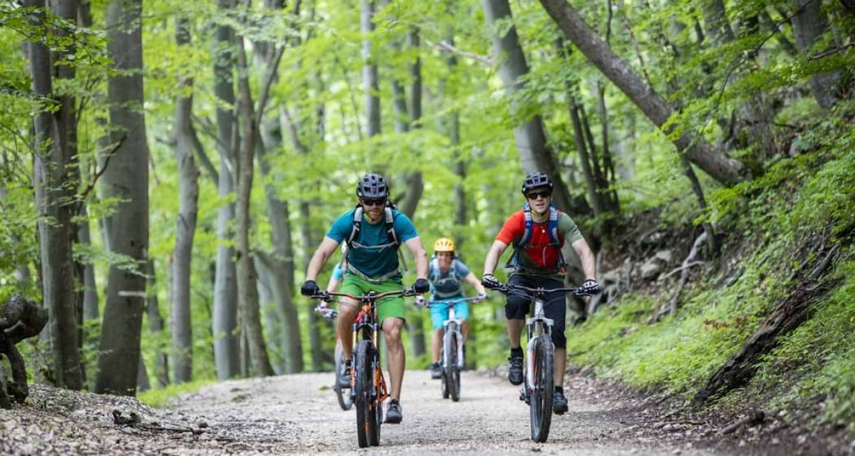 Vier Mountainbiker fahren auf einem Waldweg durch einen dichten, grünen Wald. Sie tragen Helme und sportliche Kleidung., © Schwäbische Alb Tourismusverband e.V. Vier Mountainbiker fahren auf einem Waldweg durch einen dichten, grünen Wald. Sie tragen Helme und sportliche Kleidung., © Schwäbische Alb Tourismusverband e.V.