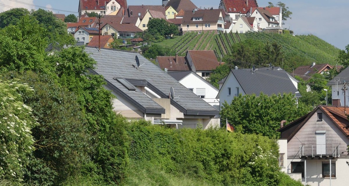 H&auml;user auf einem H&uuml;gel in Hohenhaslach, umgeben von Weinbergen und gr&uuml;ner Vegetation. Im Hintergrund ist ein Kirchturm sichtbar., &copy; Stadt Sachsenheim